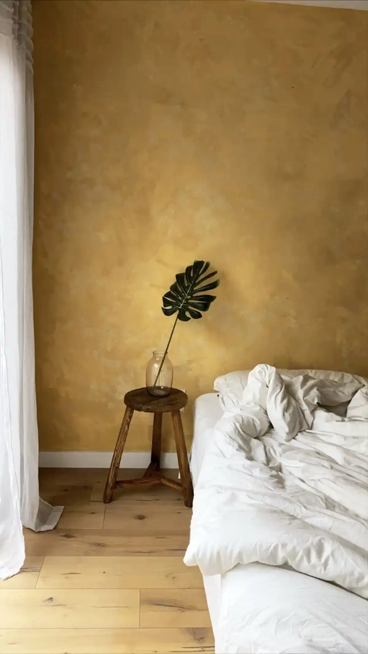 Stucco  Gold